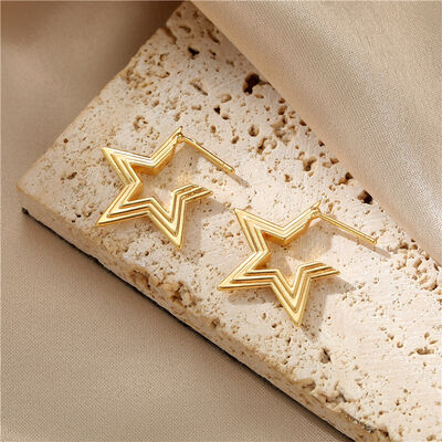 quality 14K Gold-Plated Earring Zircon Large Hoop Earrings 925 Silver Needle Five-Pointed Star Twist Earrings for Women factory