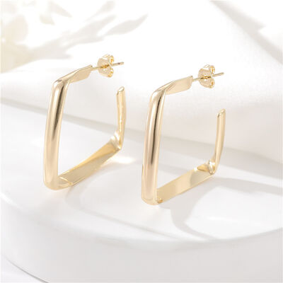 quality Wholesale Fashion Brass 14K Gold S925 Silver Needle Earrings Butterfly Irregular Earrings Square Earrings factory