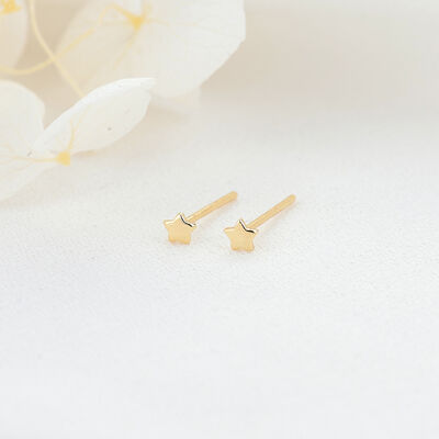 quality Wholesale 14K Gold Plated Brass Fashion Small Stud Earring in Star Butterfly Heart and Moon Shapes Jewelry Earrings factory